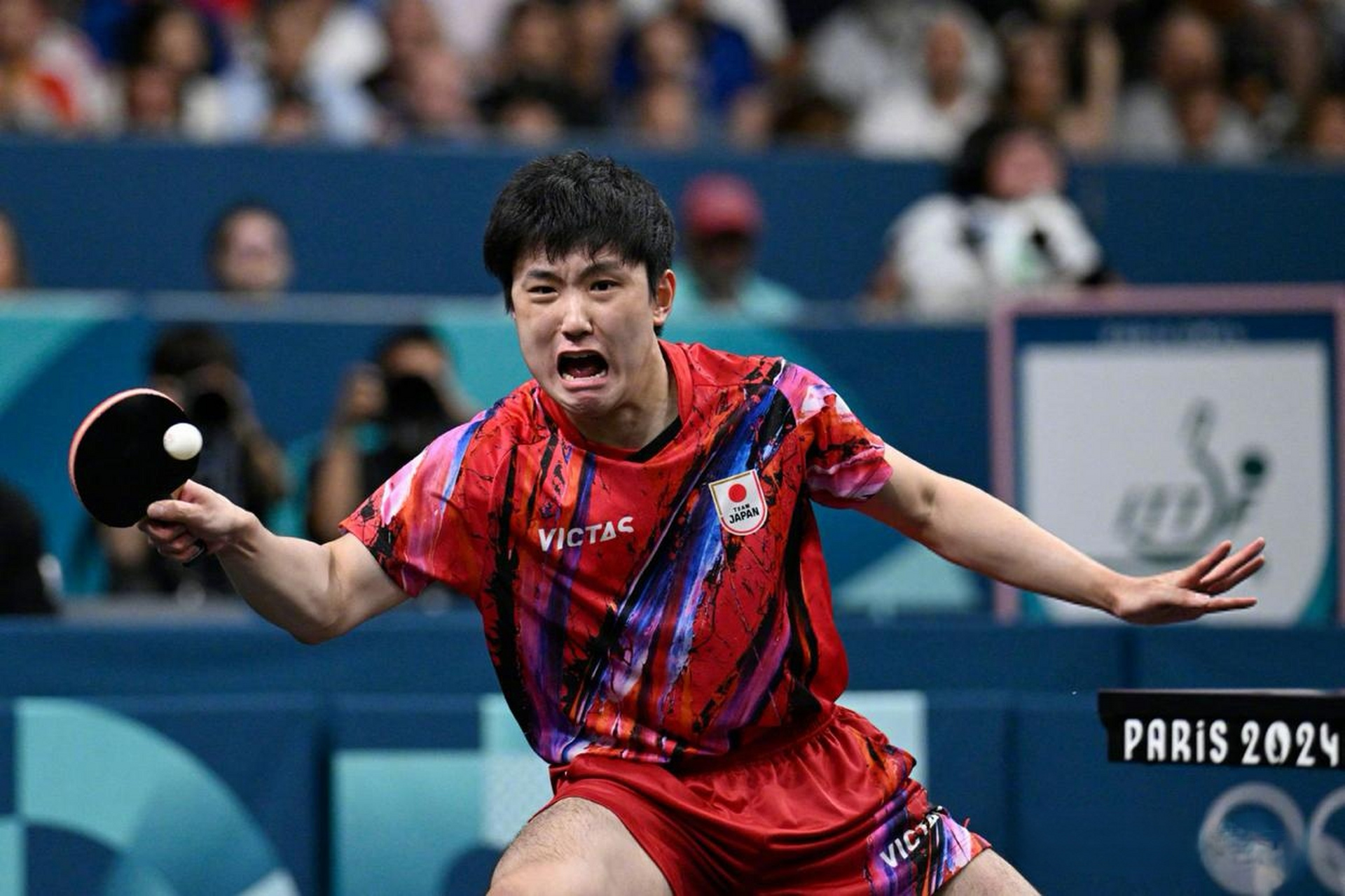 葡萄牙队碾压法国队,张本智和扛起全队 葡萄牙队碾压法国队,张本智和扛起全队