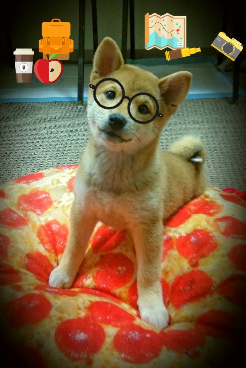 伦纳德核爆式狂砍41分！吉林队提前三节终结悬念，掘金主场沦陷深度解析