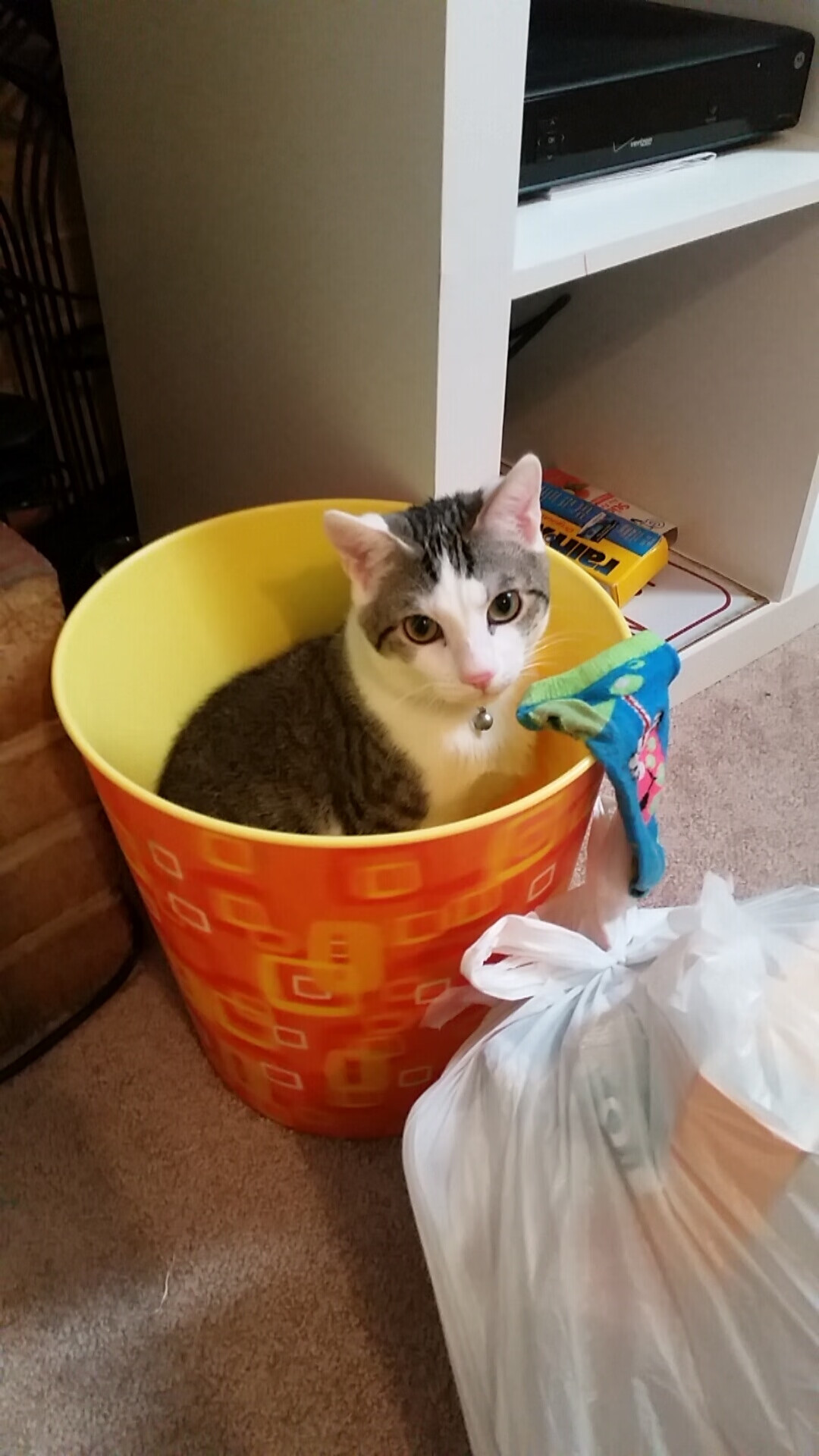 约基奇绝杀老鹰！山西队惊险过关，这记关键进球定乾坤！